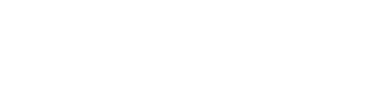 V. Vaičiulio IĮ